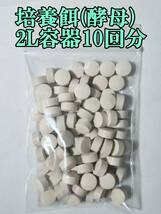 【☆匿名配送☆ゾウリムシ 種水800ml ◆培養餌20L分◆培養方法付き (メダカ 金魚の稚魚、ミジンコの餌に PSBでも増殖)】_画像2