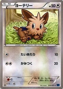 ポケモンカードゲームXY/ヨーテリー/XY1 コレクションX