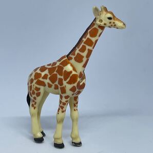 アニア アミメキリン 子ども 赤ちゃん AS-12