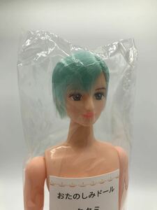 タクミ リカちゃんキャッスル　おたのしみドール　ブルー系横分け　新品 ジェニー