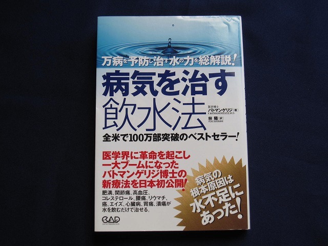 澤田大筰の澤田式治療システム 医学博士が築く新たな礎 DVD 整体dvd