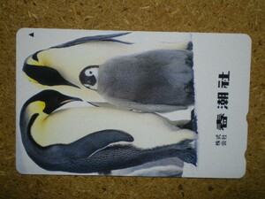 doub* bird penguin spring . company telephone card 