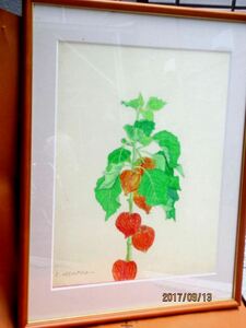 Art hand Auction [정품] 아사오카 치하루 작가의 수채화, 호즈키, 그림, 오일 페인팅, 정물