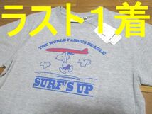 新品　ラスト１枚　スヌーピー　SURF　サーフィン　グレー　Tシャツ　Mサイズ　SNOOPY_画像1