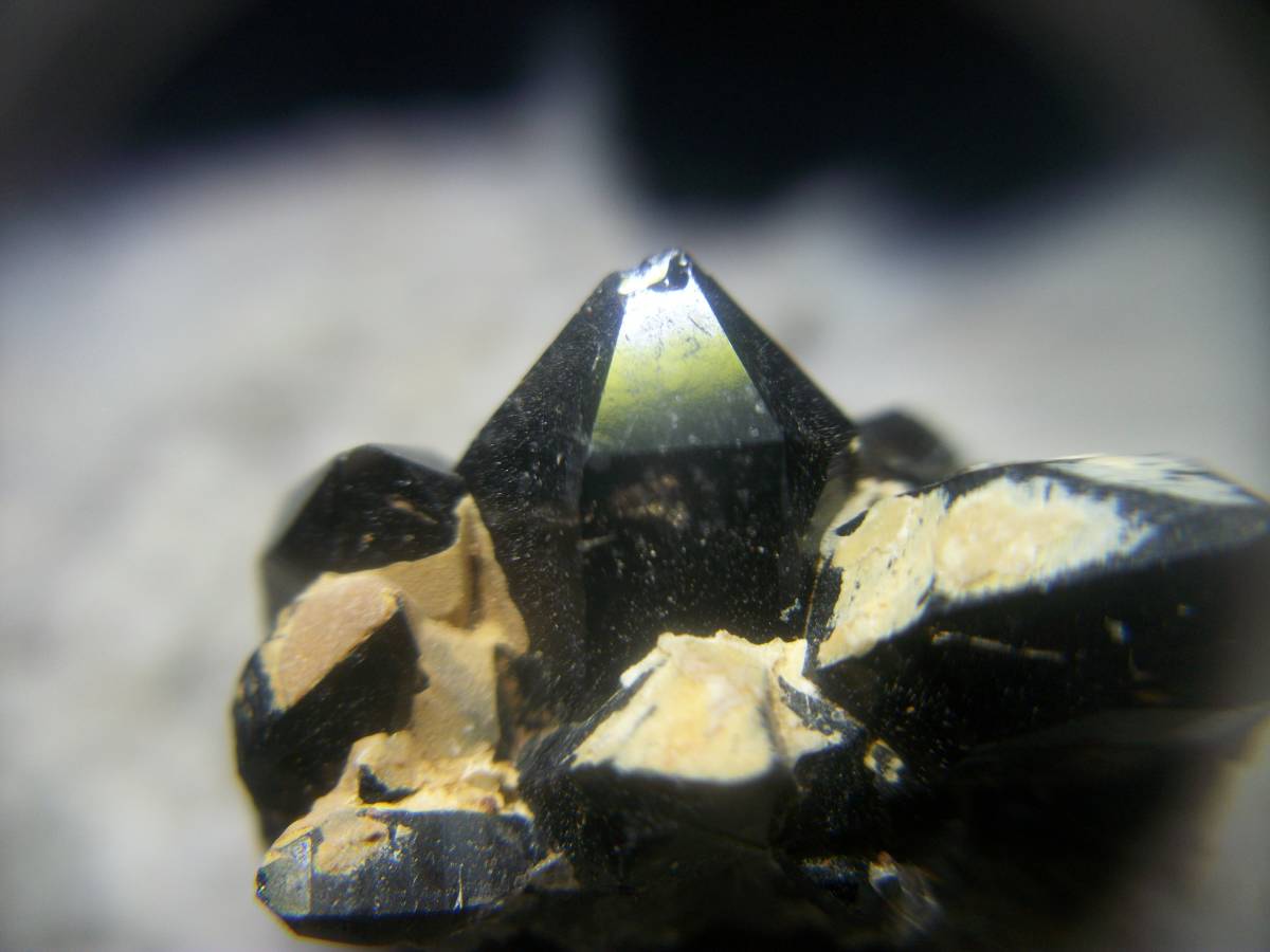 国産鉱物】岐阜県 黒水晶クラスター-