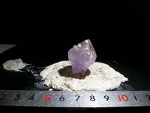 外国産鉱物　アメジスト　紫水晶　イエローカルサイト　黄色方解石　単結晶　レア　定型外発送_画像2