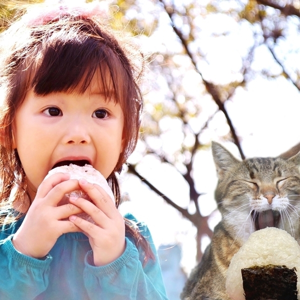 - km470 おにぎりデート 猫 A4プリント アート 現代美術 ねこ画 ネコ画 幻想少女画 女の子画 ねこちゃん にゃんこ ニャンコ funny cat Art