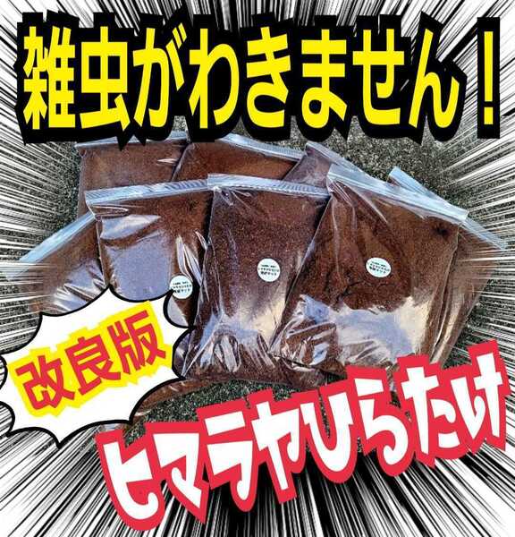 雑虫、コバエが湧かなく使いやすい【改良版】ヒマラヤひらたけ発酵カブトムシマット☆幼虫の餌、産卵に抜群！栄養添加剤入り！チャック付袋