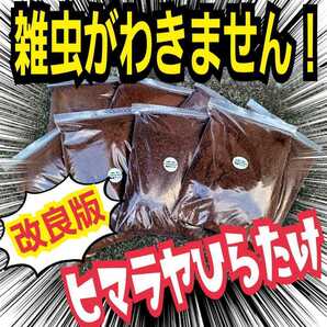 雑虫が湧かなく使いやすい【改良版】ヒマラヤひらたけ発酵カブトムシマット【20L】幼虫の餌、産卵に抜群！栄養添加剤入り！チャック付き袋