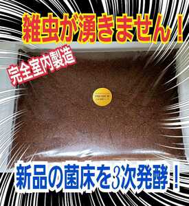 雑虫がわきません！進化した☆プレミアム3次発酵カブトムシマット【30L】完全室内製造！特殊アミノ酸強化配合！ギネスサイズが多発してます