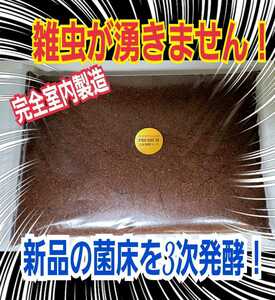 線虫、ダニ、コバエで悩んで方に！雑虫が全くわきません！進化した！プレミアム3次発酵カブトムシマット【40L】完全室内製造☆アミノ酸強化