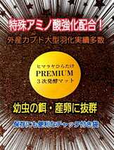 進化した！プレミアム発酵カブトムシマット【8袋】微粒子☆特殊アミノ酸・バクテリアを３倍配合！究極プロ仕様☆ヘラクレス180ミリ羽化実績_画像3