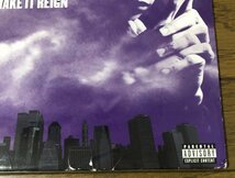 Lord Tariq & Peter Gunz - Make It Reign US Original盤 2枚組 LP 90's Hip Hop Kurupt Cam'ron Big Punisher Fat Joe Ski Clark Kent_画像10