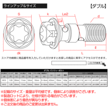 64チタン製 ダブル バンジョーボルト ブレーキライン M10 P1.00 トルクス穴 デザインボルト シルバー JA1111_画像5