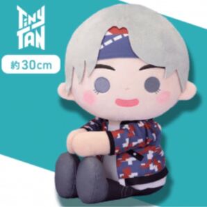 *TinyTAN MIC Drop V ぬいぐるみ*