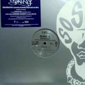 12inchレコード　 SUNN.Y. / INTRODUCTION feat. JERMAINE DUPRI & LEX DIRTY