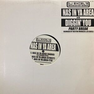 12inchレコード　 DJ EXCEL'S / NAS IN YA AREA