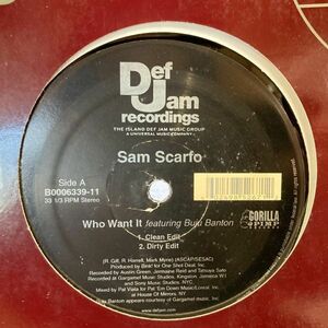 12inchレコード　 SAM SCARFO / WHO WANT IT