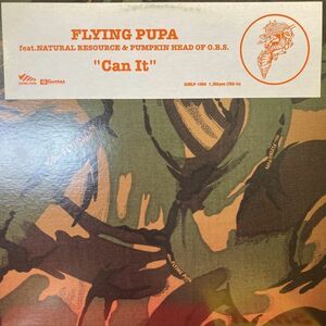 12inchレコード　 FLYING PUPA / CAN IT