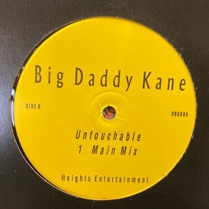 12inchレコード　 BIG DADDY KANE / UNTOUCHABLE