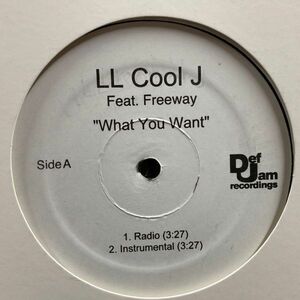 12inchレコード　 LL COOL J / WHAT YOU WANT