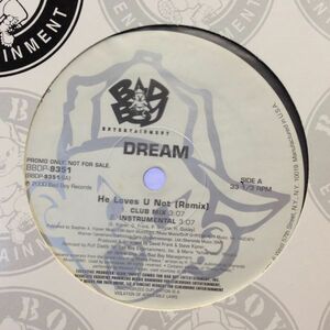 12inchレコード DREAM / HE LOVES U NOT ? REMIX