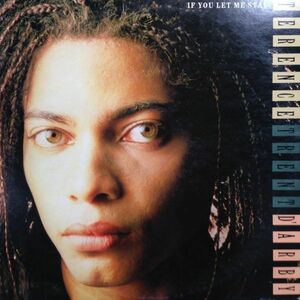 12inchレコード TERENCE TRENT D'ARBY / IF YOU LET ME STAY