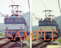 F【鉄道写真】Ｌ版４枚　ＥＦ６５　貨物列車　（５）_画像1