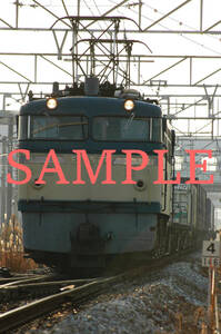 D【鉄道写真】Ｌ版２枚　EF65 87　JR貨物