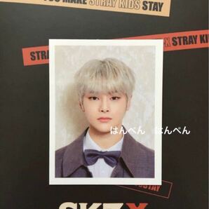 Stray Kids SKZ-X 公式グッズ　ID ピクチャー　証明写真　アイエン