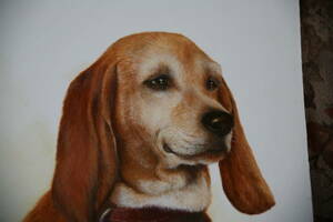 Art hand Auction 高桥晶子 ～可爱的狗狗和暖心的作品～ 出生于大阪, 绘画, 油画, 动物画