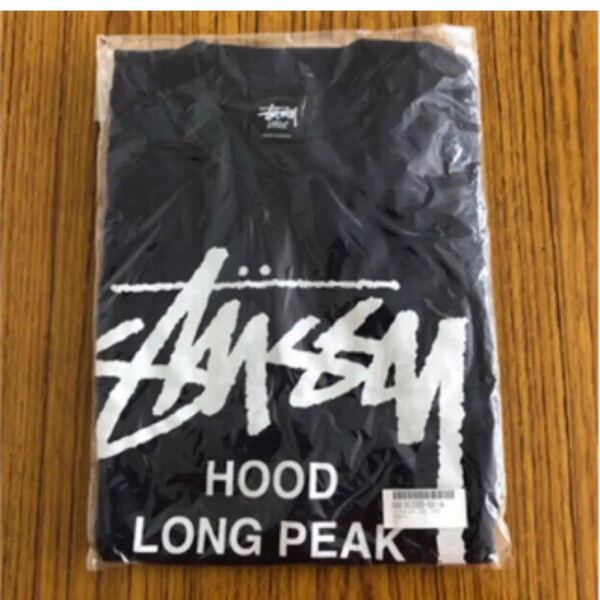 【新品未開封】《激レア》STUSSY 半袖 Tシャツ L 山シリーズ