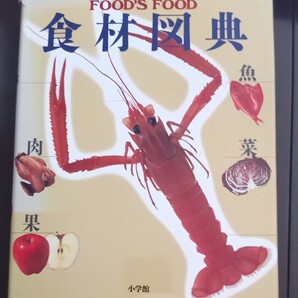 食材図典 Food’s food 未使用