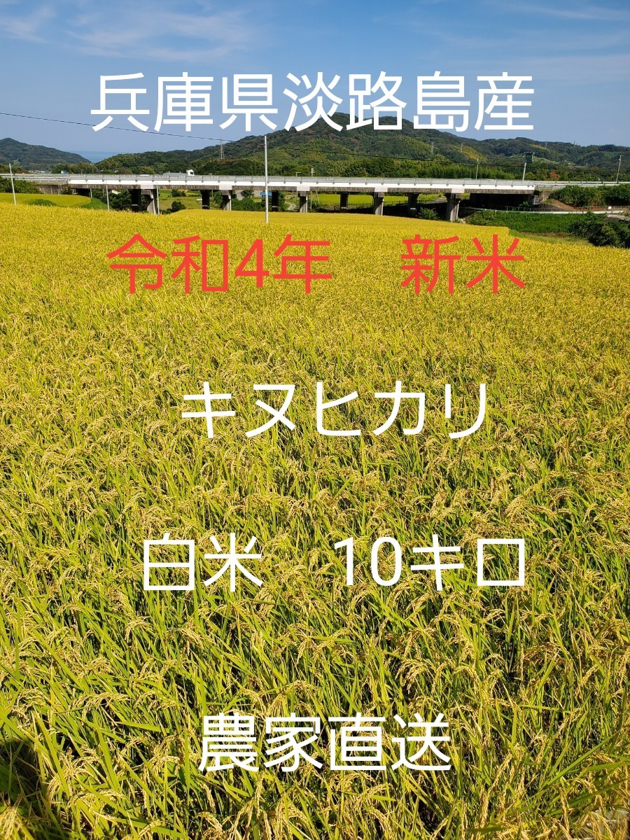 おまけ付】 令和4年産棚田で育てたヒヨクモチ白米包帯込み2kg新米