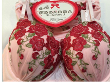 巨乳セクシーF85 モールドカップ ブラジャ-＆ショーツ上下 新品 ピンク薔薇 豪華刺繍_画像5