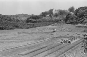 飾って楽しむ鉄道写真（去りゆく蒸気機関車：田川線 ） NO.63830216