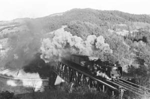 飾って楽しむ鉄道写真（去りゆく蒸気機関車：日豊本線 ） NO.63810463「C57113」