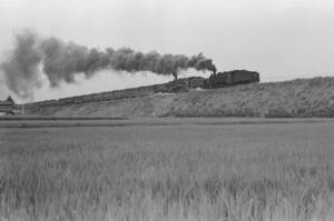 飾って楽しむ鉄道写真（去りゆく蒸気機関車：後藤寺線 ） NO.63840252