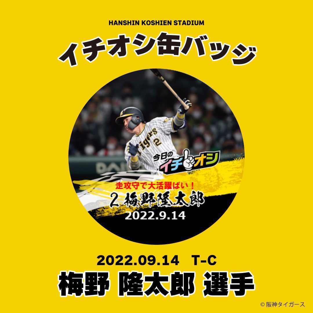 値下げ 阪神タイガース沖縄キャンプ限定フォトタオル 梅野隆太郎