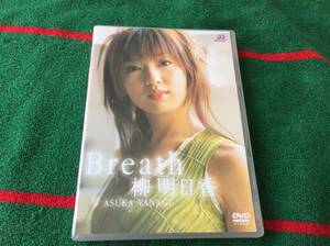 柳明日香/Breath 中古DVD