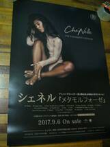 レア B2大 ポスター メタモルフォーゼ 　 Che'Nelle. 　シェネル_画像2