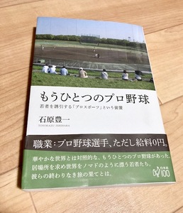 もうひとつのプロ野球　若者を誘引する「プロスポーツ」という装置 石原豊一／著