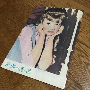 映画パンフレット☆ドーヴァーの青い花 (1964)☆デボラ・カー ヘイリー・ミルズ