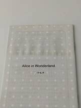 【英語】CD付き★不思議の国のアリス★ディズニー★Alice in Wonderland★Disney★洋書絵本［C］_画像8