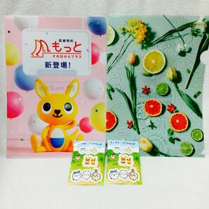 お値下げ！ かんぽ生命 かんぽくん クリアファイル ちいかわシール 新品 未使用