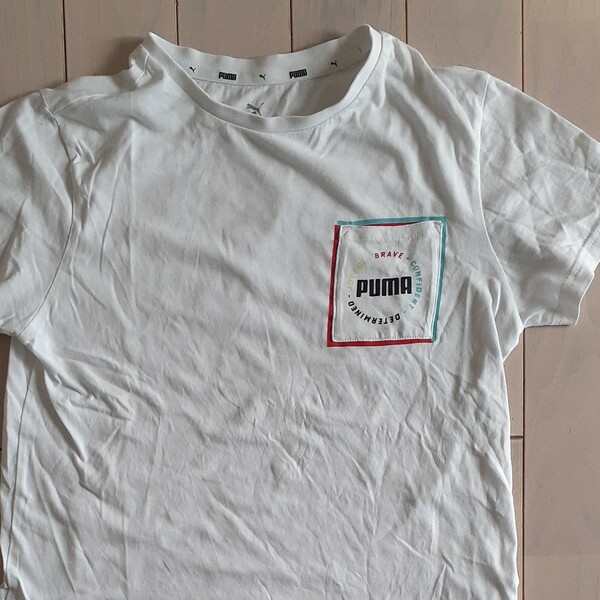 Tシャツ 子供服 カットソー PUMA