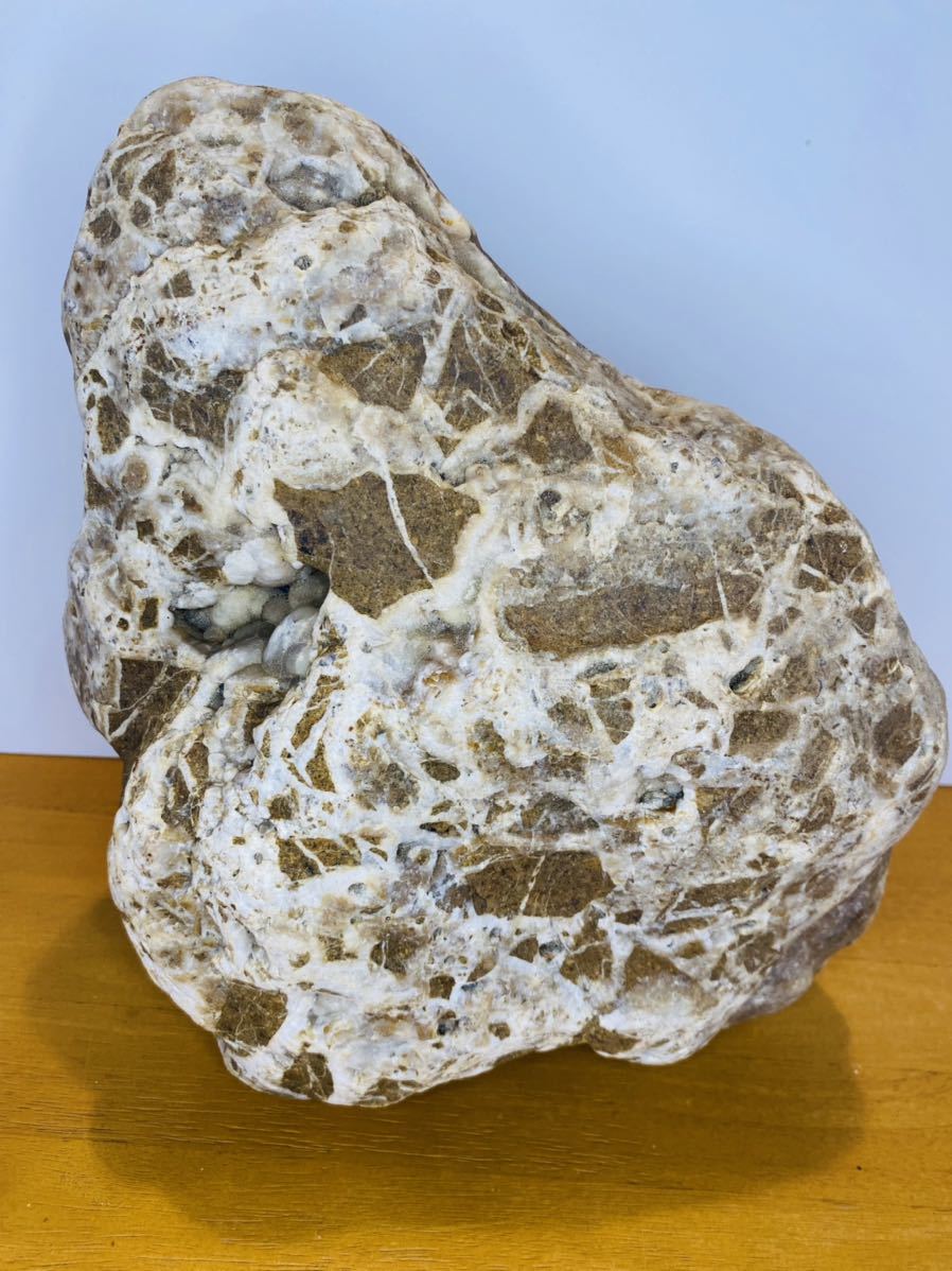 ☆希少☆ イギリス産 アンバー 原石 66.35ct 鉱物 原石 証明書付 | www