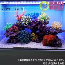 人工ライブロック リアルリーフロック S&Mサイズ 約7kg 同梱発送不可_画像3