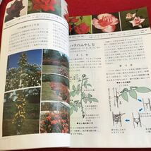 Y38-133 NHK 趣味の園芸 5月 バラ モミジとカエデ ショクヤク（ボタン）庭しごと 家庭の野菜づくり ガイド アイデア 昭和48年発行_画像5