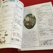 Y38-147 NHK 趣味の園芸 7月 盛夏の花木 水辺の植物 シバとツタ サボテン 園芸作業 盆栽のたのしみ 小品盆栽 新しい花を求めて 昭和51年_画像3